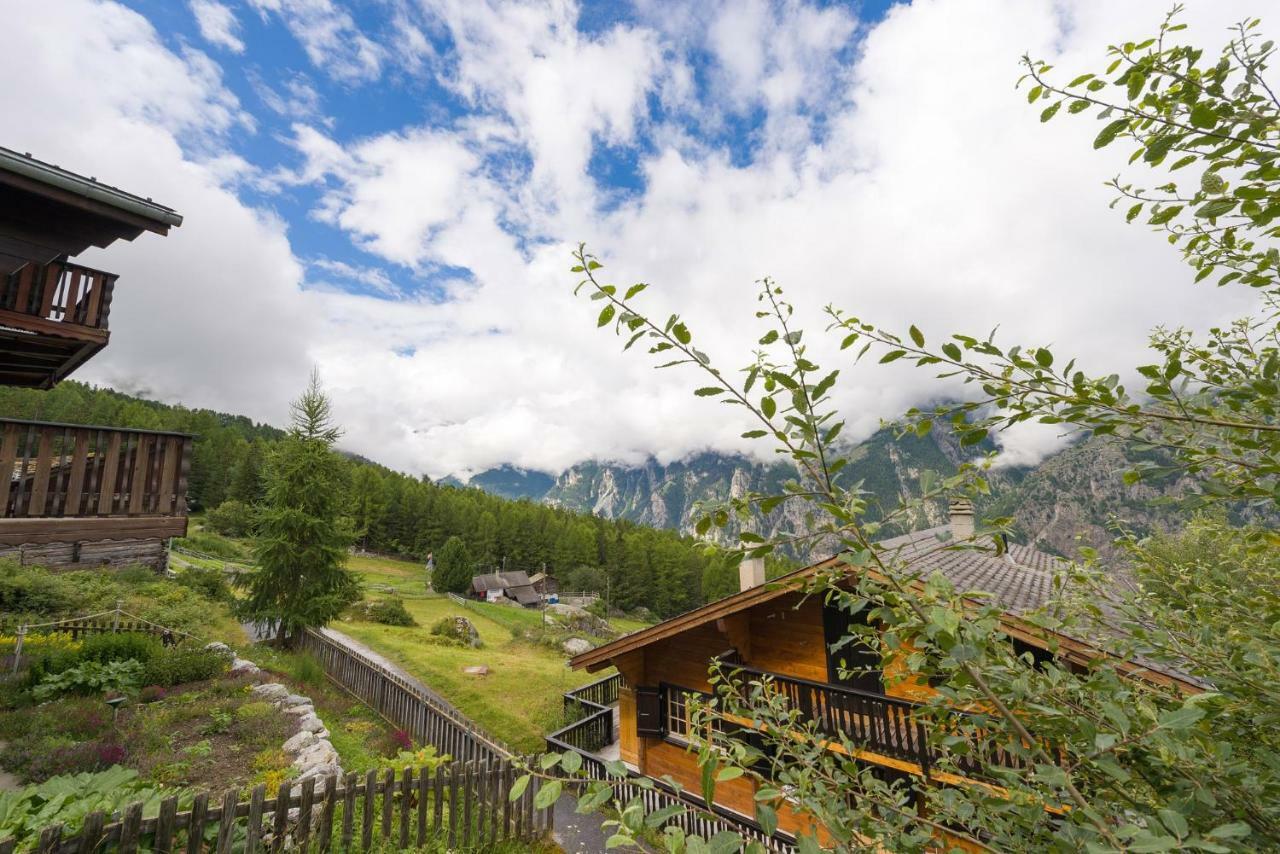 Apartment Schinkenheim "Bei Fuchs & Hase" เกรเชิน ภายนอก รูปภาพ